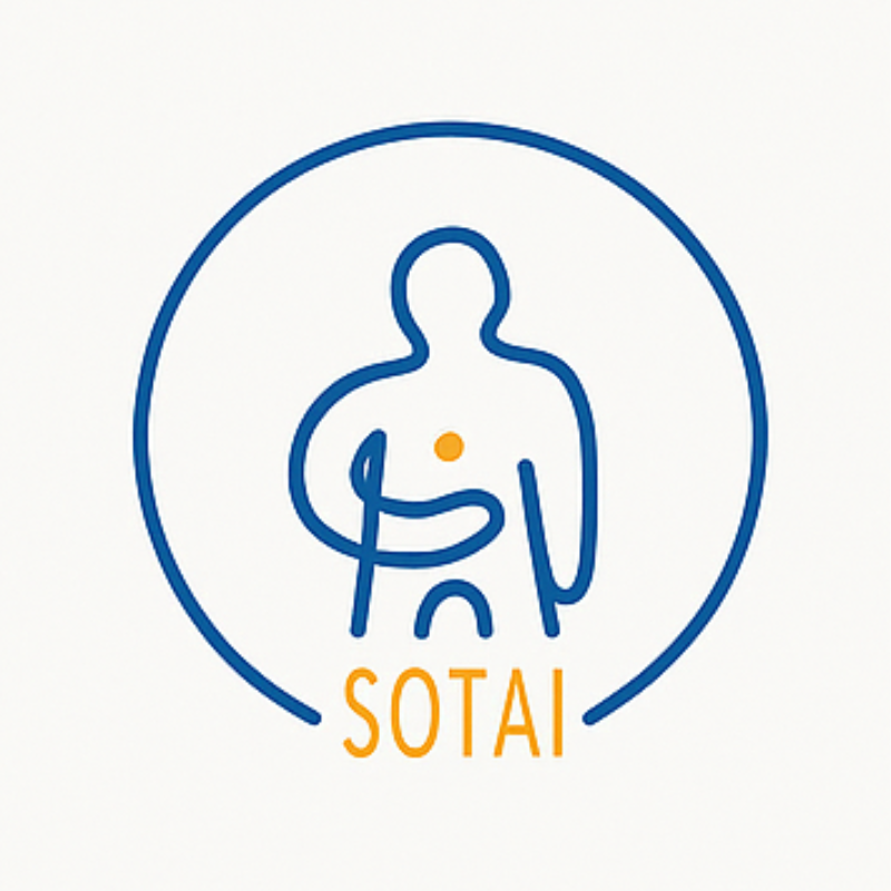 SOTAI
